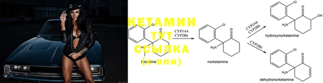 скорость Ростов