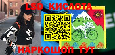 СК Краснознаменск