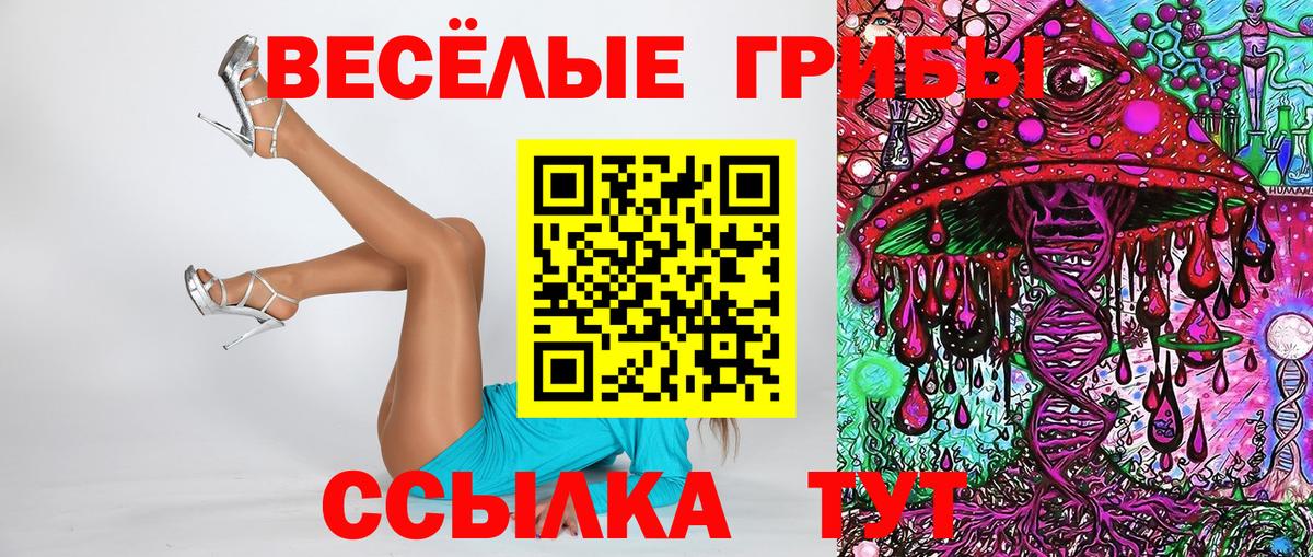 Псилоцибиновые грибы мицелий Джанкой