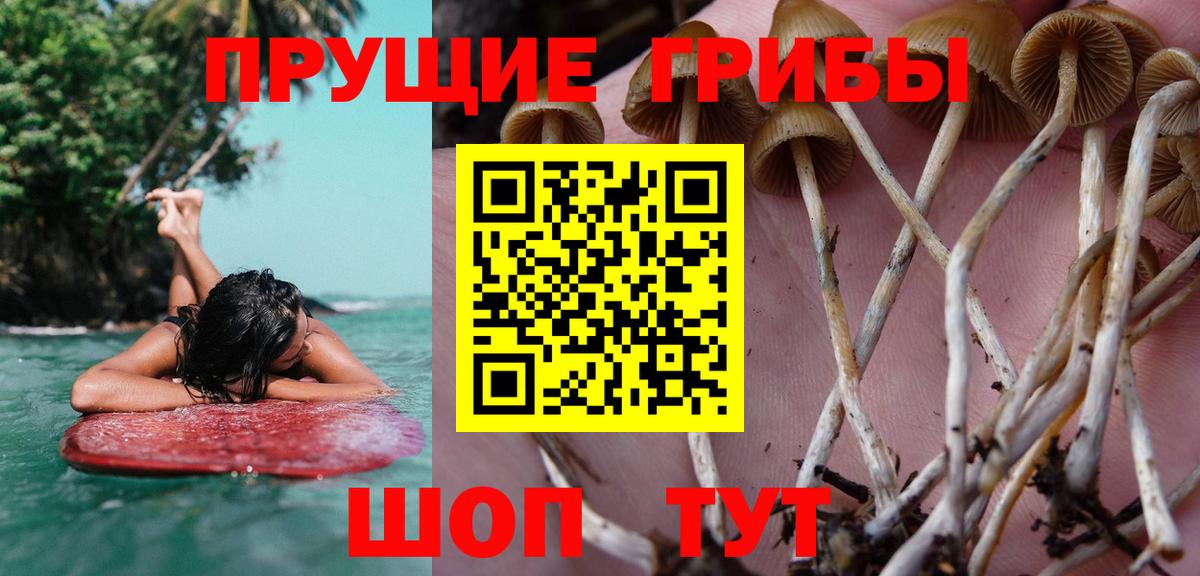 Джанкой  Псилоцибиновые грибы мухоморы  Вход с VPN 